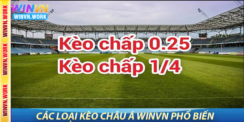 Kèo châu Á WinVN – Phân tích sâu, cược chuẩn, thắng lớn 6 Các loại kèo châu Á WinVN phổ biến